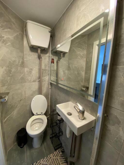 One Bedroom Putney Village Flat London Exterior foto