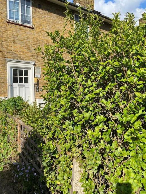 One Bedroom Putney Village Flat London Exterior foto