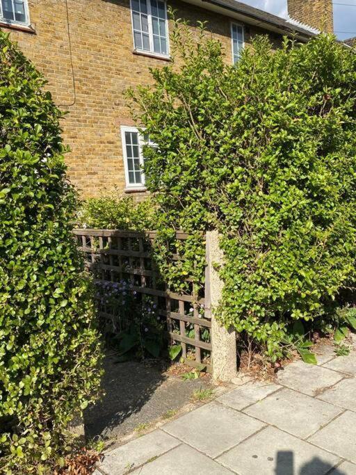 One Bedroom Putney Village Flat London Exterior foto