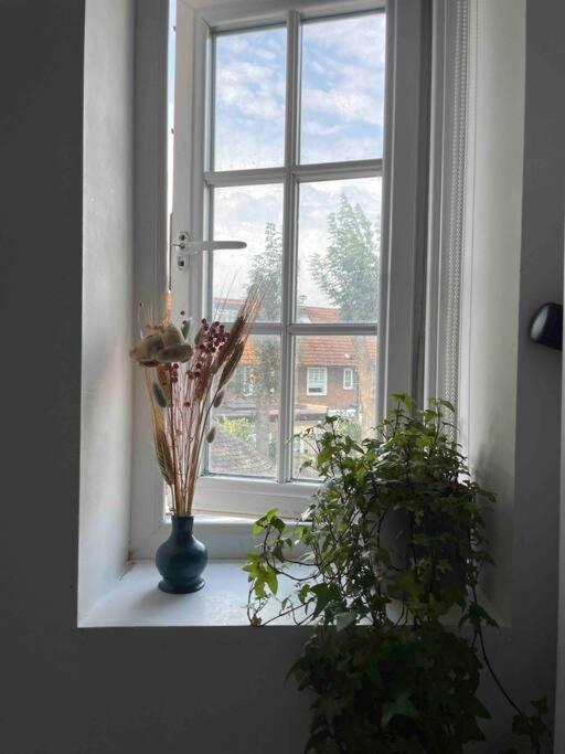 One Bedroom Putney Village Flat London Exterior foto