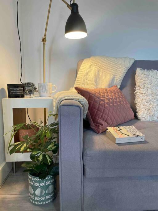 One Bedroom Putney Village Flat London Exterior foto